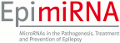 EpimiRNA logo